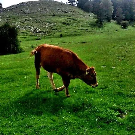 Intera Casa Con Due Stanze Nel Parco Del Cilento